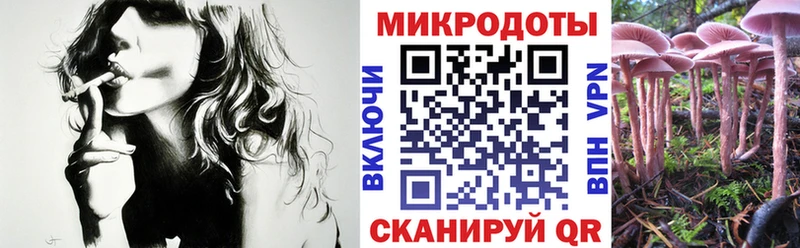 Псилоцибиновые грибы Psilocybine cubensis  купить наркотик  Усмань 